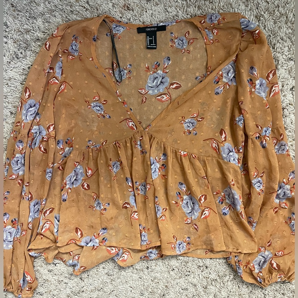 Forever21 Sheer Rose Top (Size Small)